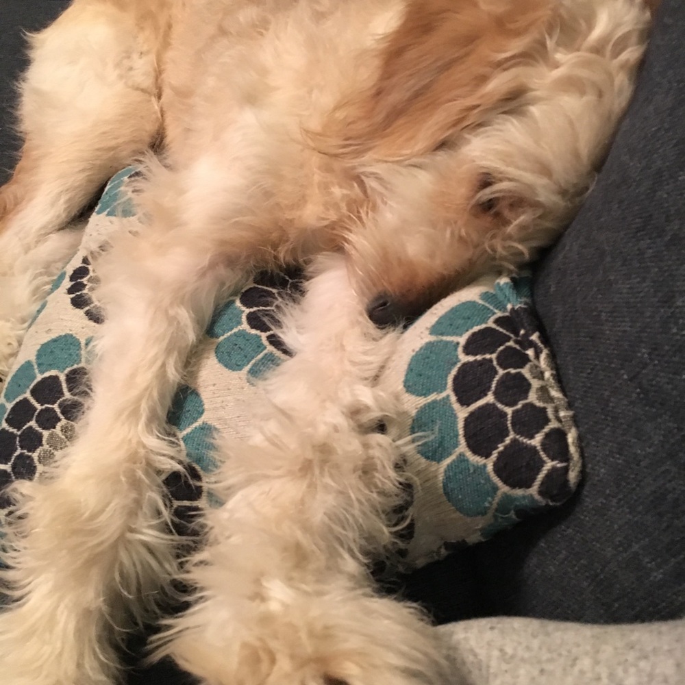 Meet your Posher, Kim